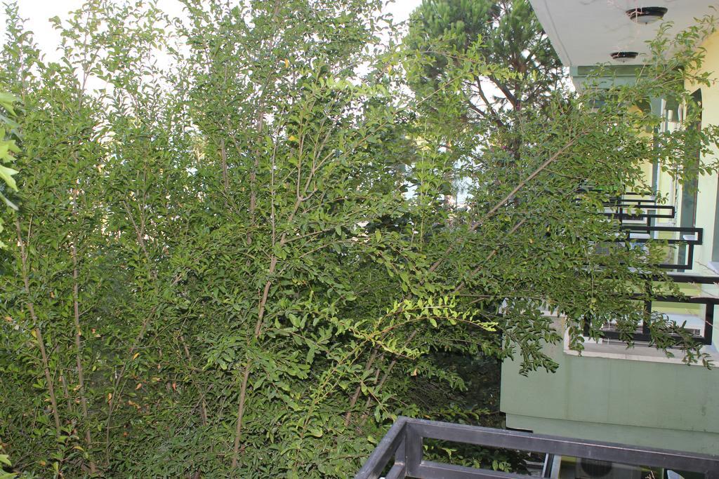 Flora Hotel Koycegiz  Habitación foto